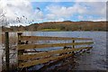 SD2989 : Fence, Coniston Water by Mick Garratt