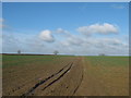 Bridleway to Cauldham Lane