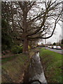 Stream running beside Treeton Road, Howden