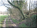 TR2641 : Bridleway junction on the byway to Poulton Farm by David Anstiss