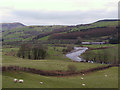 Fields by the Afon Dyfi