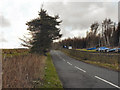 SD6915 : Longworth Lane by David Dixon