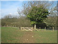 Gate on Park Hill