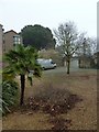 Trees at the end of Westgate Street