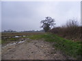 Footpath to Curlew Green