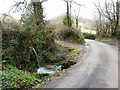 Lane near Ranscombe