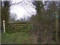 TM3865 : Footpath to Curlew Green by Geographer