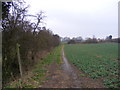 TM3865 : Footpath to the A12 Main Road & North Green by Geographer