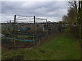 Wroughton allotments