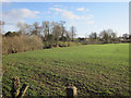 A field by Afon Dyfrdwy/River Dee