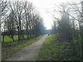 Footpath across Knowles Park - Knowles Lane