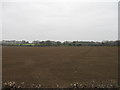 Fields north of Burwell Road, Exning