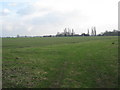 North Moor Farm seen from the bank of the River Torne