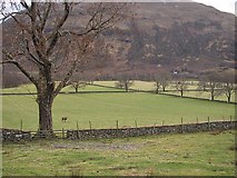 NG9621 : Grassland, Strath Croe by Richard Webb