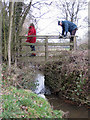 Footbridge with two stiles