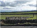 Dry stone walls