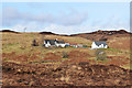 Houses in Drumfearn