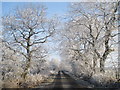 Frosty Yarridge Road