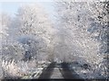 Frosty Yarridge Road (2)