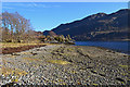 North shore of Loch Long