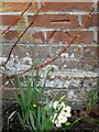 Bench Mark, Lime Tree Cottage