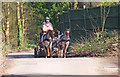 Ponies and Wagon on Marsh Lane