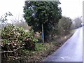 TM3763 : Footpath to the A12 Saxmundham Bypass by Geographer