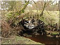 Bridge on Old Forest Road