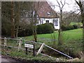 Cottage with crocuses