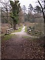 Footpath to Lodge Pond