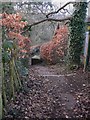 Path and steps down from Bridgefield in Farnham