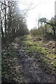 Footpath  to the Ridgeway