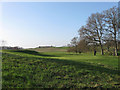 Hole 18, The East Course, East Sussex National Golf Course