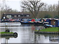 Pyrford Marina