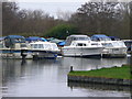 Cruisers at Pyrford Marina