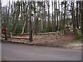 Footpath off Whitmead Lane near Tilford