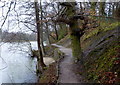 Footpath by the lake in Ringwood Park