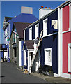 SN4562 : The painter and his dog, Aberaeron by Dave Croker
