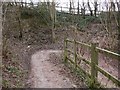 Zig-zag path going down from The Street to Thundery Hill