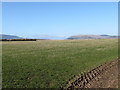 View north-eastwards across the site of the former Greencastle airfield