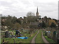 Windmill Hill Allotments