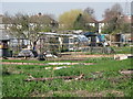 TQ3670 : Kent House Road Allotments, SE26 (4) by Mike Quinn