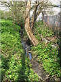 Drain feeding the Pool River, Kangley Bridge Road, SE26 (4)