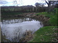 Pond on Back Lane, East Clandon