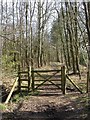 Holt Heath, gate