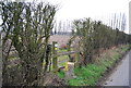 Footpath off Buckland Rd