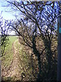 Footpath to South Manor Lane