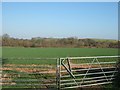 Gates into field south of Nettacott