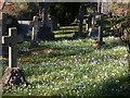 Flowers in Busbridge churchyard