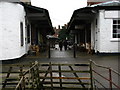 The Shambles, Malton